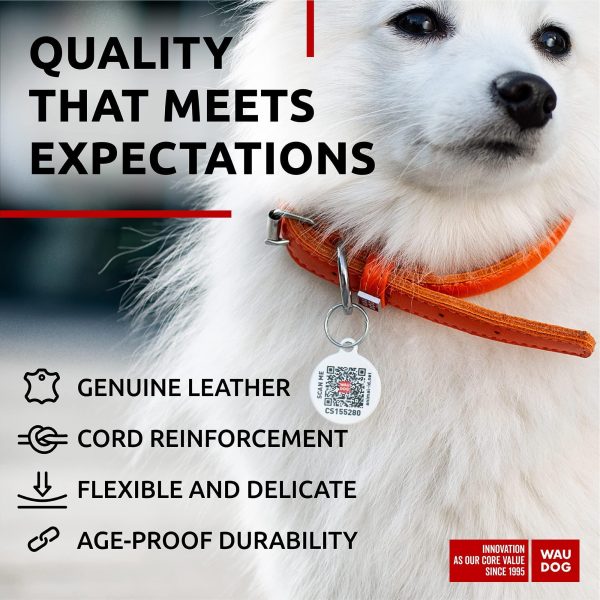 Ultra Soft Rolled Leather Dog Collar for Small Dogs   Soft Padded Dog Collars for Medium Dogs   Puppy Collars for Large Breed Dogs   Male and Female Dog Collar - Image 4
