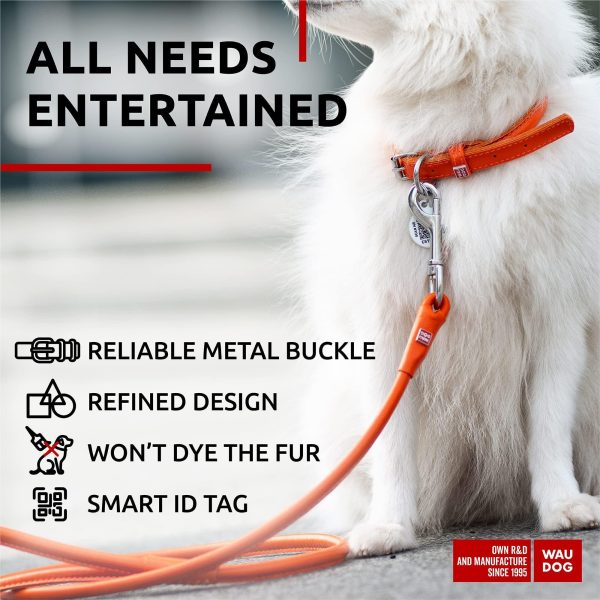 Ultra Soft Rolled Leather Dog Collar for Small Dogs   Soft Padded Dog Collars for Medium Dogs   Puppy Collars for Large Breed Dogs   Male and Female Dog Collar - Image 5