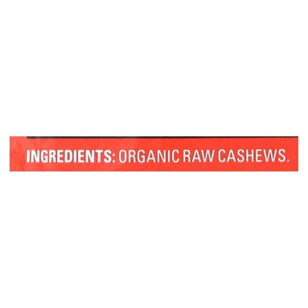 Artisana Organic Raw Cashew Butter - Squeeze Packs - 1.06 oz - Case of 10 - Image 2