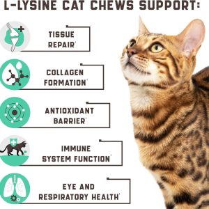 Lysine Cat Treats – Immune Support for Cats – Promotes Respiratory Health and Eye Function – Fortified with Vitamin B Calcium and Protein