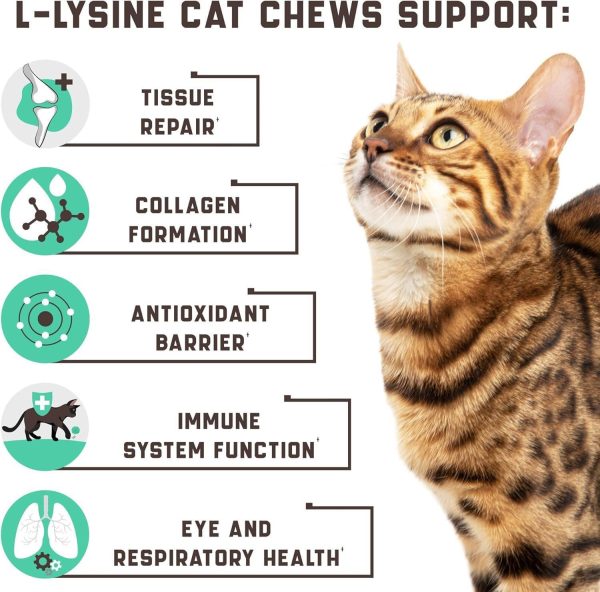 Lysine Cat Treats – Immune Support for Cats – Promotes Respiratory Health and Eye Function – Fortified with Vitamin B Calcium and Protein