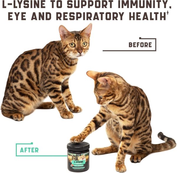 Lysine Cat Treats – Immune Support for Cats – Promotes Respiratory Health and Eye Function – Fortified with Vitamin B Calcium and Protein - Image 4
