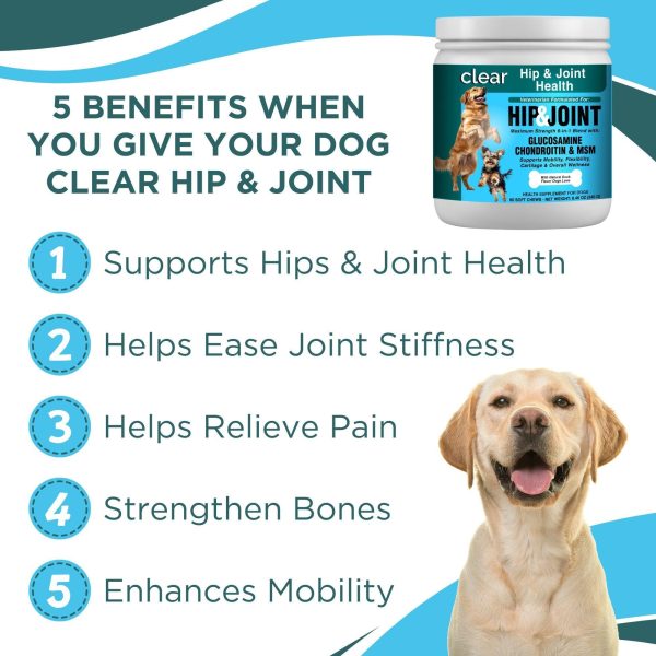 Clear Hip & Joint Health for Dogs - Image 2