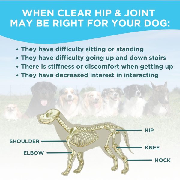 Clear Hip & Joint Health for Dogs - Image 5