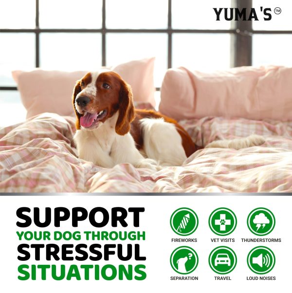 YUMA'S Hemp Calming Chews for Dogs   Advanced Dog Calming Treats   Dog Calming Chews   170 Chews   Anxiety Relief Treats   Separation Aid Barking Stress Relief Thunderstorms   Melatonin   Hemp Oil - Image 4