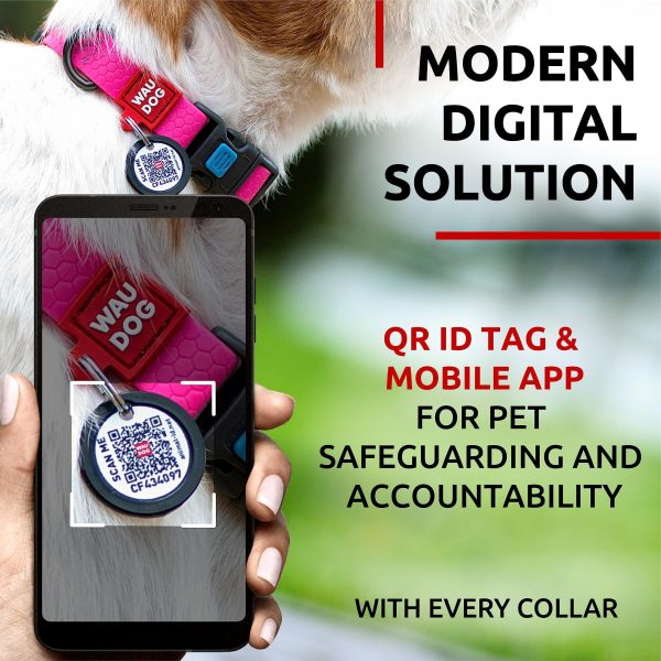WAUDOG Waterproof Dog Collar   Adjustable Dog Collar for Large Dogs Small and Medium Dogs   Breakaway Dog Collar Waterproof with Plastic Buckle and QR Dog Tag   Boy & Girl Dog Collars (Pink) - Image 6