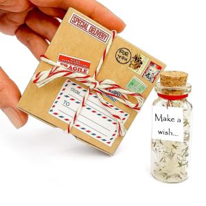 Tiny Magical Message in a Bottle Gift Idea   Classy Inspirational Gifts for Him and Her   Unique Presents for Women and Men (White Dandelion   Make a Wish in Craft Gift Box)