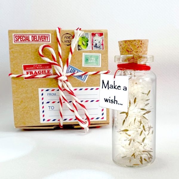 Tiny Magical Message in a Bottle Gift Idea   Classy Inspirational Gifts for Him and Her   Unique Presents for Women and Men (White Dandelion   Make a Wish in Craft Gift Box) - Image 2