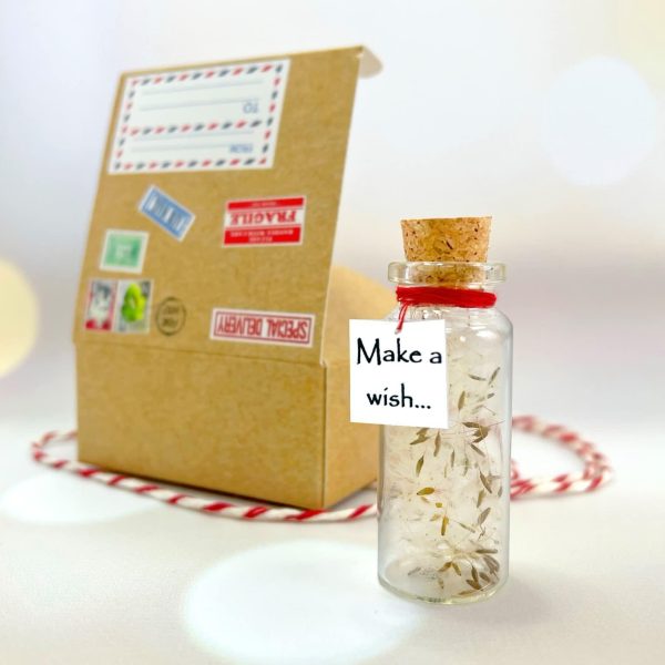 Tiny Magical Message in a Bottle Gift Idea   Classy Inspirational Gifts for Him and Her   Unique Presents for Women and Men (White Dandelion   Make a Wish in Craft Gift Box) - Image 5