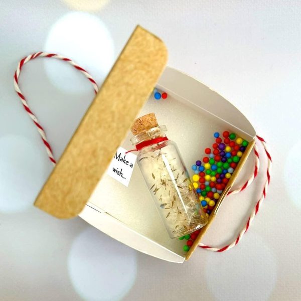 Tiny Magical Message in a Bottle Gift Idea   Classy Inspirational Gifts for Him and Her   Unique Presents for Women and Men (White Dandelion   Make a Wish in Craft Gift Box) - Image 6