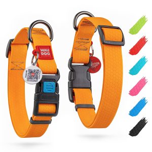 WAUDOG Waterproof Dog Collar   Adjustable Dog Collar for Large Dogs Small and Medium Dogs   Breakaway Dog Collar Waterproof with Plastic Buckle and QR Dog Tag   Boy & Girl Dog Collars (Orange)