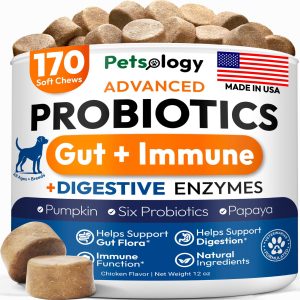 Probiotics for Dogs   170 Dog Probiotics Chews   Digestive Enzymes & Prebiotics   Support Gut Health Diarrhea Gas & Constipation Relief   Itchy Skin Allergies Yeast Balance   Pet Supplement