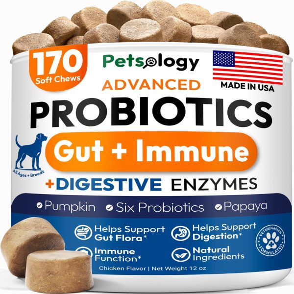 Probiotics for Dogs   170 Dog Probiotics Chews   Digestive Enzymes & Prebiotics   Support Gut Health Diarrhea Gas & Constipation Relief   Itchy Skin Allergies Yeast Balance   Pet Supplement