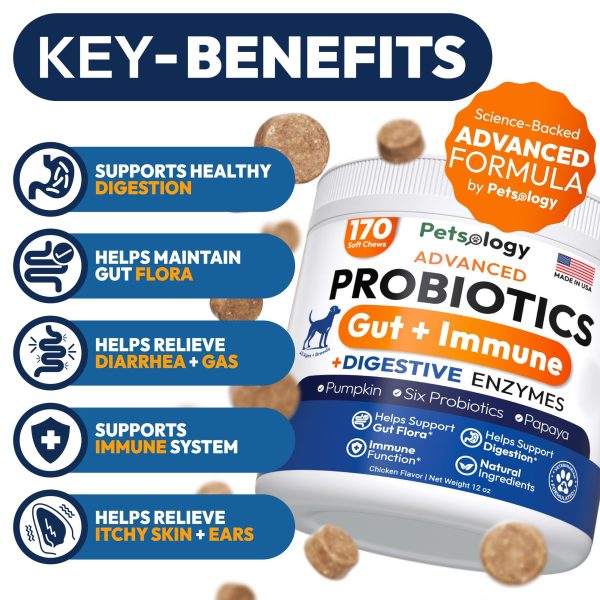 Probiotics for Dogs   170 Dog Probiotics Chews   Digestive Enzymes & Prebiotics   Support Gut Health Diarrhea Gas & Constipation Relief   Itchy Skin Allergies Yeast Balance   Pet Supplement - Image 2