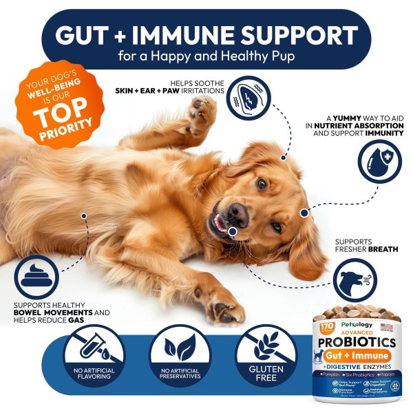 Probiotics for Dogs   170 Dog Probiotics Chews   Digestive Enzymes & Prebiotics   Support Gut Health Diarrhea Gas & Constipation Relief   Itchy Skin Allergies Yeast Balance   Pet Supplement - Image 4