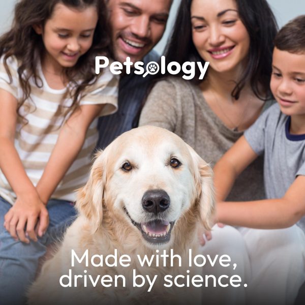 Probiotics for Dogs   170 Dog Probiotics Chews   Digestive Enzymes & Prebiotics   Support Gut Health Diarrhea Gas & Constipation Relief   Itchy Skin Allergies Yeast Balance   Pet Supplement - Image 8
