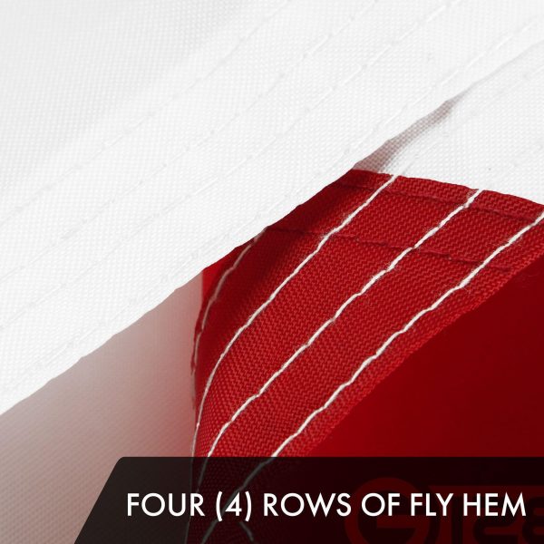 G128 2 Pack: Florida FL State Flag | 6x10 Ft | ToughWeave Series Embroidered 210D Polyester | Embroidered Design, Indoor/Outdoor, Vibrant Colors, Brass Grommets - Image 5