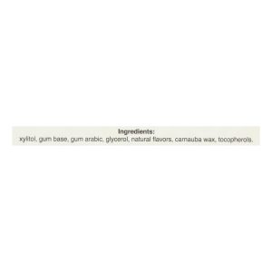 Pur Gum - Cinnamon - Aspartame Free - 9 Pieces - 12.6 g - Case of 12