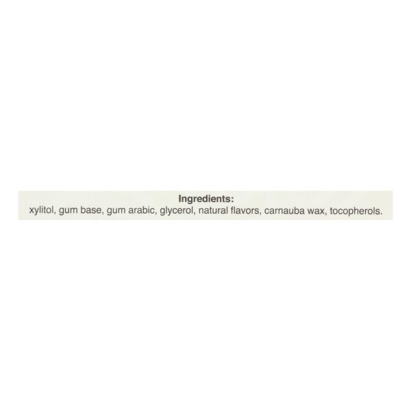 Pur Gum - Cinnamon - Aspartame Free - 9 Pieces - 12.6 g - Case of 12