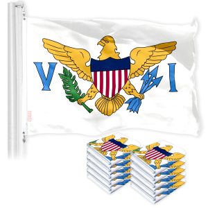 U.S. Virgin Islands Flag 3x5 Ft 10-Pack 150D Printed Polyester By G128