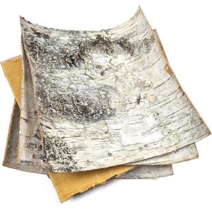 Natural White Birch Bark 4 Sheets 8  x 8    Russian White Birch Tree Decor Sheets for Scrapbooking DIY Projects Arts and Crafts   Unfinished Wood Paper Birch