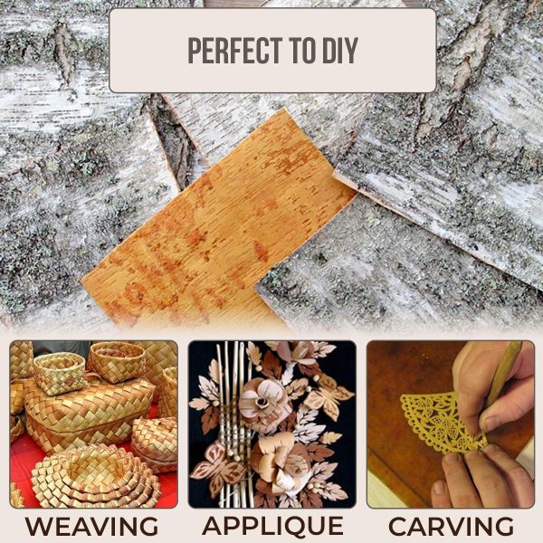 Natural White Birch Bark 4 Sheets 8  x 8    Russian White Birch Tree Decor Sheets for Scrapbooking DIY Projects Arts and Crafts   Unfinished Wood Paper Birch - Image 4