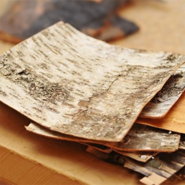 Natural White Birch Bark 4 Sheets 8  x 8    Russian White Birch Tree Decor Sheets for Scrapbooking DIY Projects Arts and Crafts   Unfinished Wood Paper Birch - Image 5