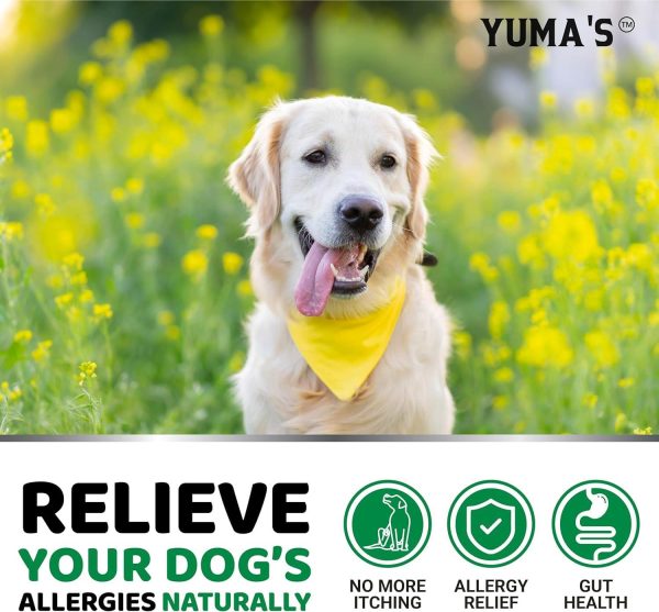 YUMA'S 2 Pack Dog Allergy Relief Chews   Dog Itching Skin Relief Treatment Pills   Anti Itch for Dogs   Itchy and Paw Licking   Dry Skin & Hot Spots   Omega 3 Fish Oil   Skin & Coat Supplement - Image 4