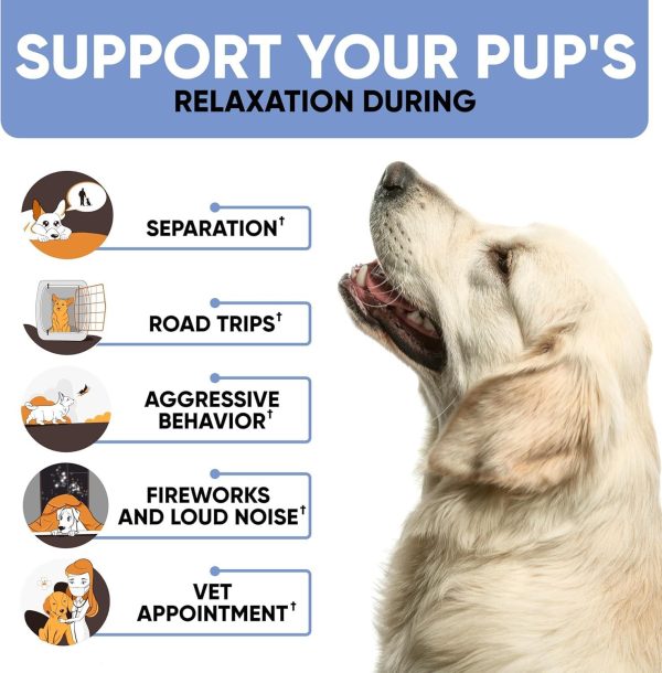 Natural Calming Chews for Dogs with Hemp Oil & Valerian Root   Supports Relaxation During Fireworks Thunderstorms & Separation   Hip & Joint Support   Chicken Flavored Treats for All Breeds - Image 4