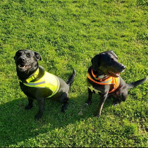 Lite Dog Vest. Coverage to Mid Back. Reflective Hi Visibility Fluorescent Yellow Fabric Helps to Keep Them in Sight and Safe On and Off Leash. - Image 3