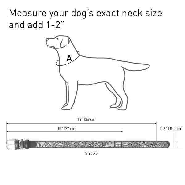 Design Leather Dog Collar for Puppy Small Medium and Large Dogs   Boy & Girl Leather Dog Collar   Leather Buckle Dog Collar White (10 1 4    13 3 4  Neck * 3 5  Wide Ethno 1) - Image 5