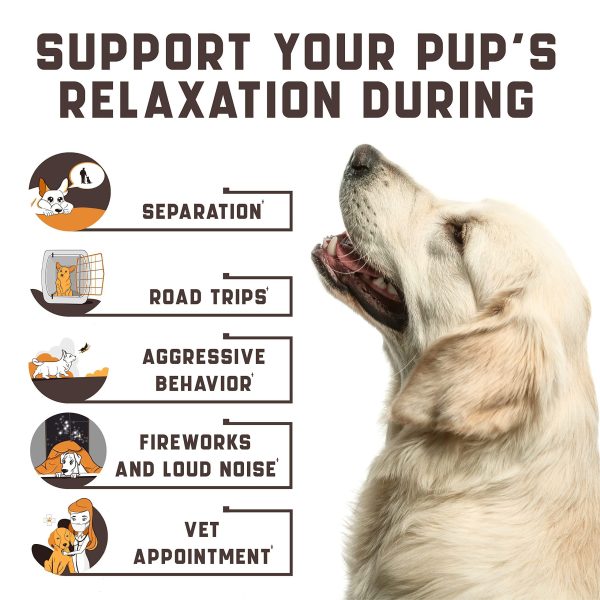 Kinpur Pet Care Calming Chews for Dogs with Hemp Oil - Aid During Thunderstorms, Separation, Car Rides - Hip and Joint Health - Tasty Dog Calming Treats, 180 Peanut Butter Flavored Chews - Image 2