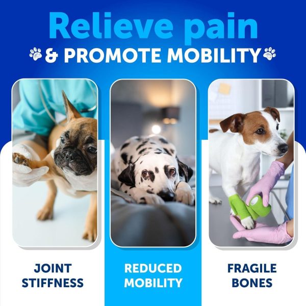 Hemp Hip and Joint Supplement for Dogs   Glucosamine for Dogs Joint Pain Relief   Chews with Chondroitin MSM Hemp Oil   Mobility Support   Canine Cartilage Health   120 Soft Treats   Made in USA - Image 3