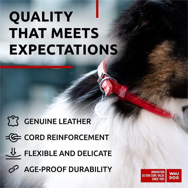 WAUDOG Ultra Soft Rolled Leather Dog Collar for Small Dogs   Soft Padded Dog Collars for Medium Dogs   Puppy Collars for Large Breed Dogs   Male and Female Dog Collar - Image 4