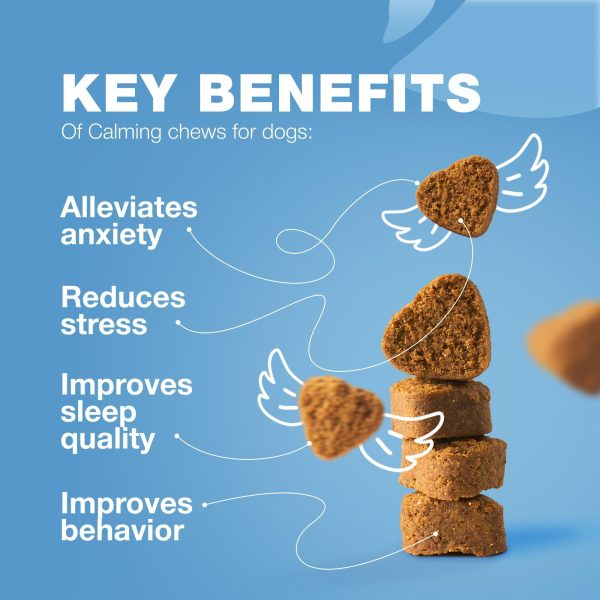 Hemp Calming Chews for Dogs   Dog Calming Treats   Anxiety Relief for Dogs with L Theanine Chamomile Extract Valerian Root   Dog Anxiety Relief for Travel Vet Visits Thunderstorms Nail Trimming - Image 3