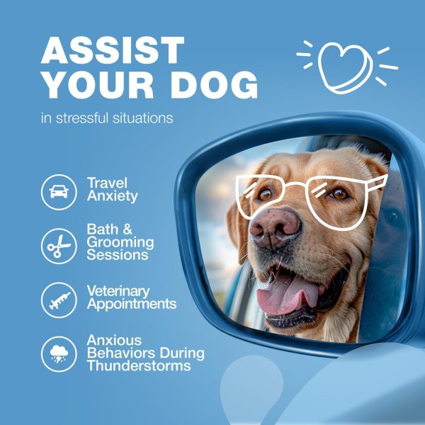 Hemp Calming Chews for Dogs   Dog Calming Treats   Anxiety Relief for Dogs with L Theanine Chamomile Extract Valerian Root   Dog Anxiety Relief for Travel Vet Visits Thunderstorms Nail Trimming - Image 4