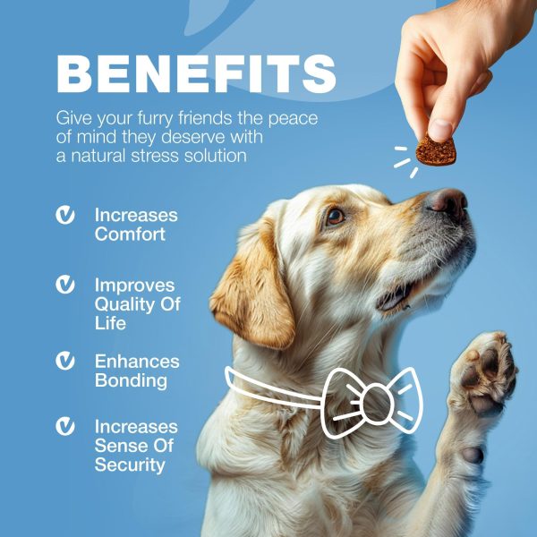 Hemp Calming Chews for Dogs   Dog Calming Treats   Anxiety Relief for Dogs with L Theanine Chamomile Extract Valerian Root   Dog Anxiety Relief for Travel Vet Visits Thunderstorms Nail Trimming - Image 9