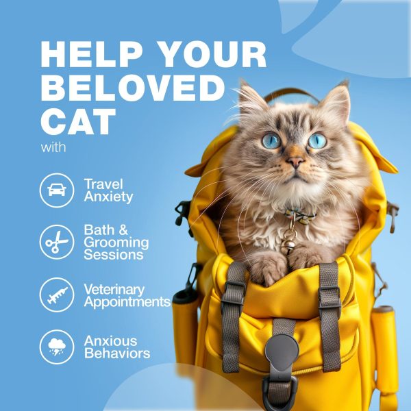 Cat Calming Treats   Hemp Calming Care for Cats   Cat Melatonin Soft Chews with Hemp Seed Oil and Probiotics   Cat Anxiety Relief   Storms Travel Grooming Separation   Calming Chews for Cats - Image 4