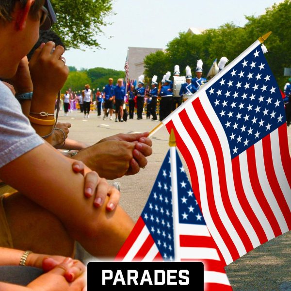G128 12 Pack Handheld American USA Stick Flags | 12x18 In | Printed 150D Polyester, Country Flag, Solid Wooden Stick, Spear Gold Tip, Great for Patriotic Decorations - Image 5