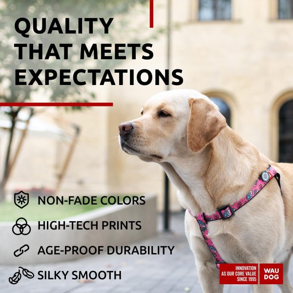 Nylon Dog Leash for Small Dogs and Medium Dogs 4 Ft   Strong Dog Leash for Large Dogs   Heavy Duty Dog Leashes for Large Breed Dogs & Puppy Leash for Small Boy & Girl Dogs - Image 4