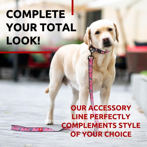 Nylon Dog Leash for Small Dogs and Medium Dogs 4 Ft   Strong Dog Leash for Large Dogs   Heavy Duty Dog Leashes for Large Breed Dogs & Puppy Leash for Small Boy & Girl Dogs - Image 6