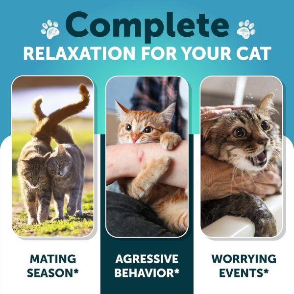 Hemp Cat Calming Treats for Stress & Anxiety Relief   Cat & Kittens   Melatonin   Made in USA   Storm Anxiety Сomposure Grooming Separation Travel Care   Calming Aid with Hemp Oil   135 Soft Chews - Image 3