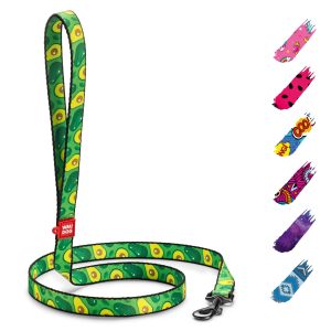 WAUDOG Nylon Dog Leash for Small Dogs and Medium Dogs 4 Ft   Strong Dog Leash for Large Dogs   Heavy Duty Dog Leashes for Large Breed Dogs & Puppy Leash for Small Boy & Girl Dogs