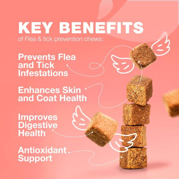 Flea Treatment for Cats   Daily Oral Cat Flea and Tick Treatment Chews   Chewable Kitten Flea Treatment   Soft Treats for All Breeds & Ages   Natural Chicken Flavor Flea and Tick Supplement for Cats - Image 2