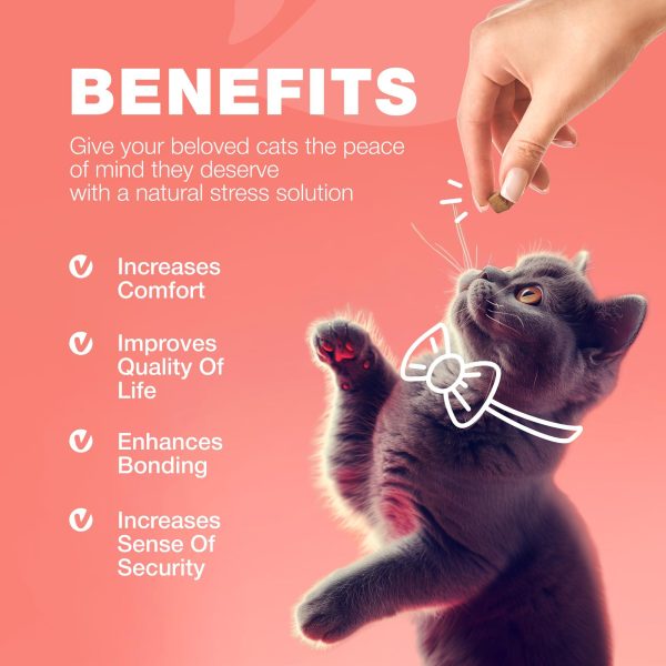 Flea Treatment for Cats   Daily Oral Cat Flea and Tick Treatment Chews   Chewable Kitten Flea Treatment   Soft Treats for All Breeds & Ages   Natural Chicken Flavor Flea and Tick Supplement for Cats - Image 7