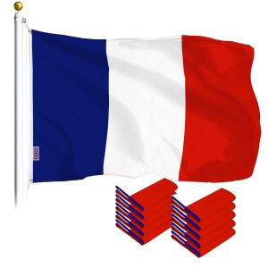 France French Flag 3x5 Ft 10-Pack Printed Polyester By G128
