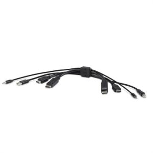 TAA DUAL 1 HDMI HDMI 1 DP