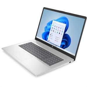 REFURB 17.3 i5 8G 512G SLV