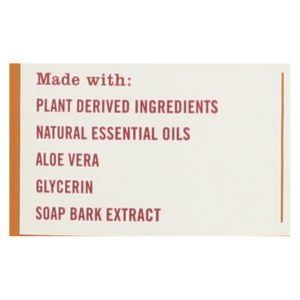 This Amazing Seasonal Scented Mrs. Meyer's Apple Cider Dish Soap  - Case of 6 - 16 FZ
