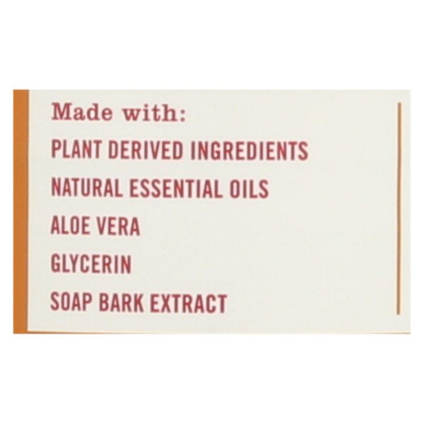 This Amazing Seasonal Scented Mrs. Meyer's Apple Cider Dish Soap  - Case of 6 - 16 FZ